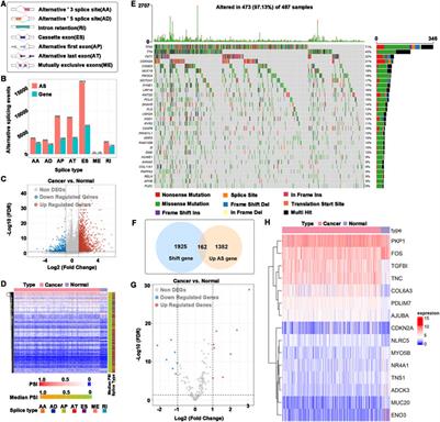 Identification of tumor antigens and immune subtypes in head and neck squamous cell carcinoma for mRNA vaccine development